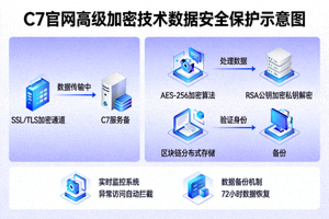C7官网采用高级加密技术保护用户数据安全的示意图